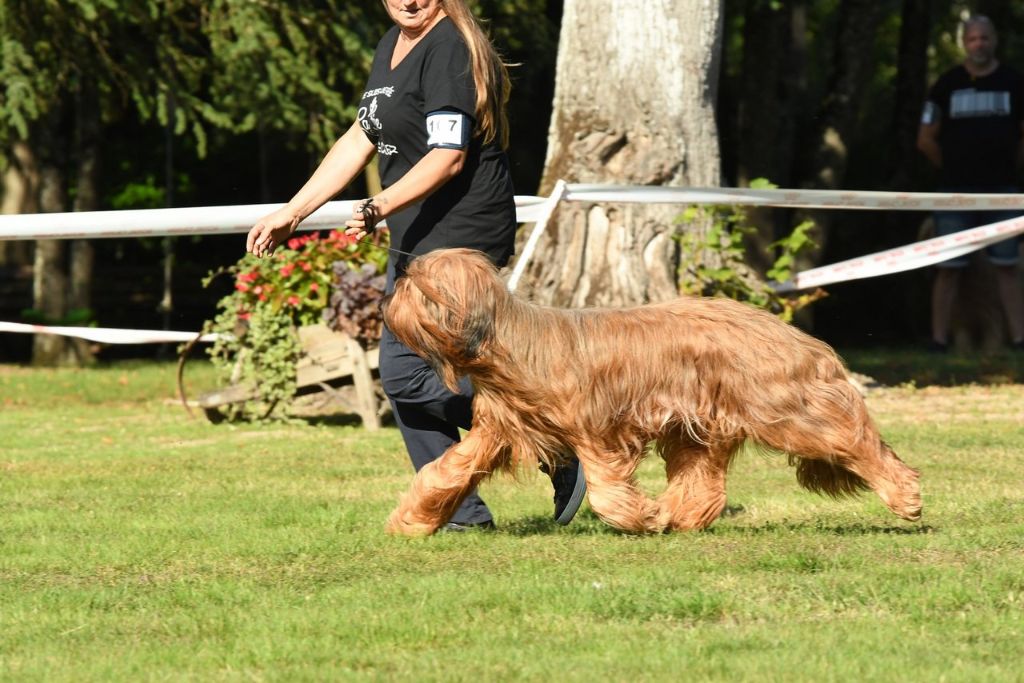 Roxane one blonde de Lady Fontaine la Belle