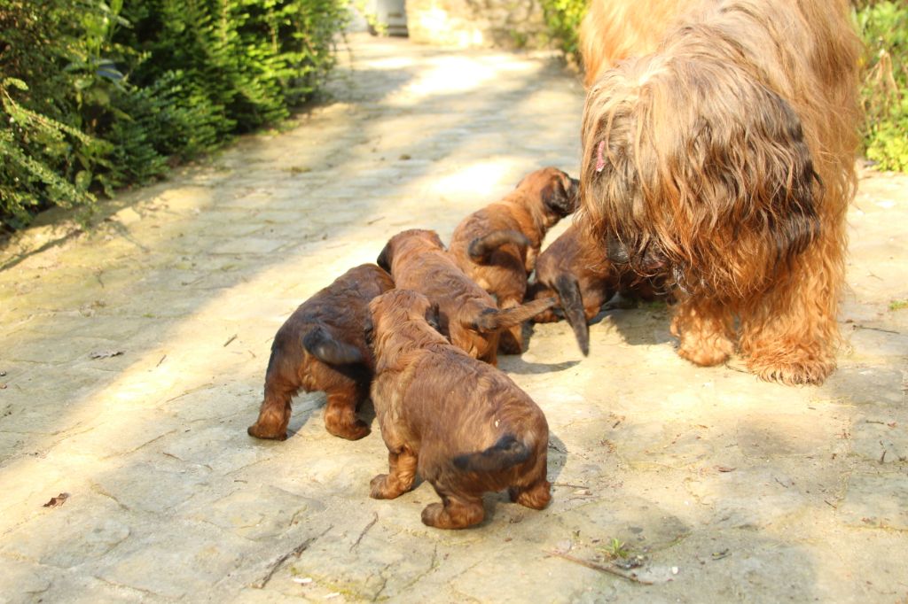 Bébés de Hermione et Isae